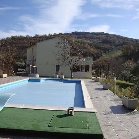 Olive Grove Farm *